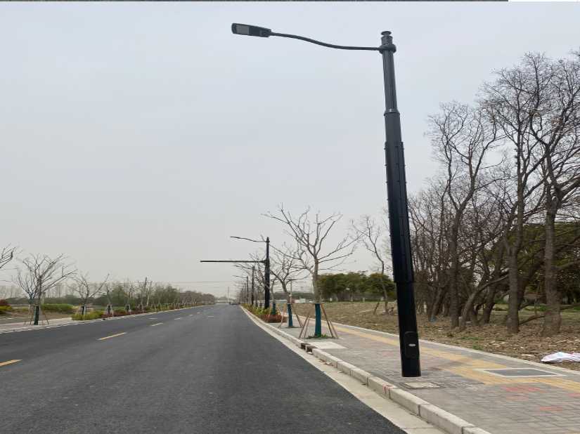 措美县上海综合杆 太阳能路灯工程
